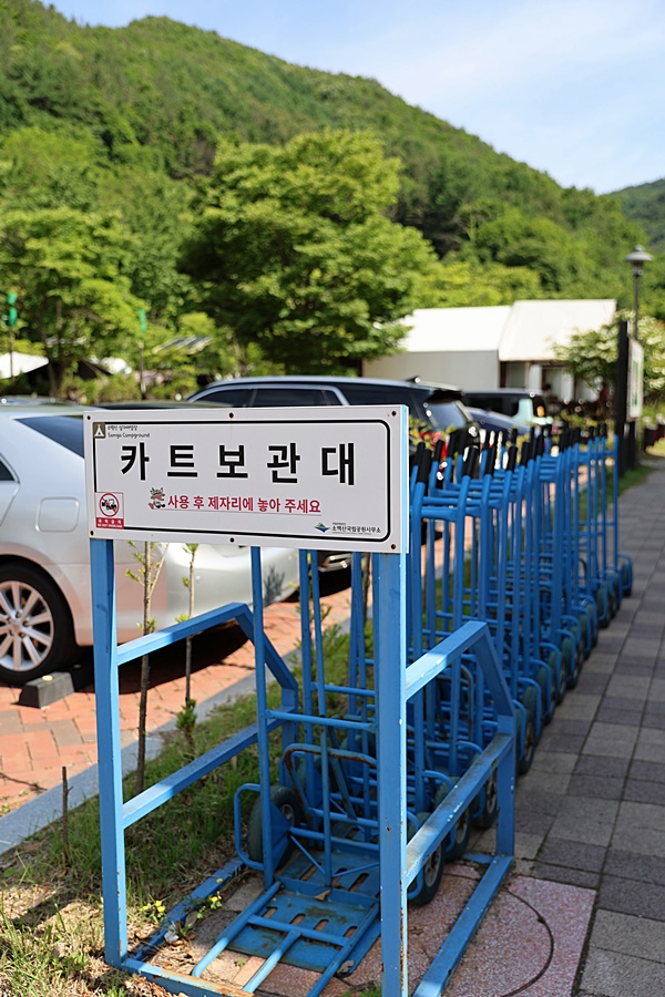 [ 소백산국립공원 ] 시원하고 안전한 여름 휴가는 여기 어때? - 소백산 삼가야영장