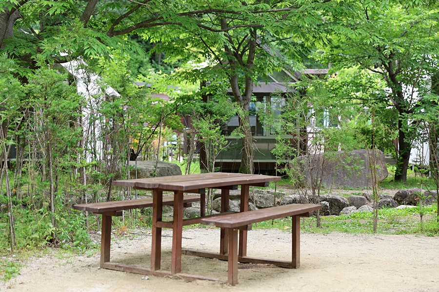 [ 소백산국립공원 ] 시원하고 안전한 여름 휴가는 여기 어때? - 소백산 삼가야영장