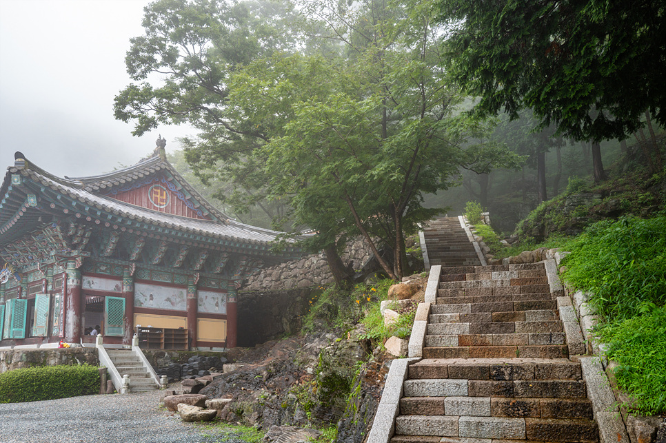 경상도 여행지 추천 경남 사찰 창원 성주사 장유사