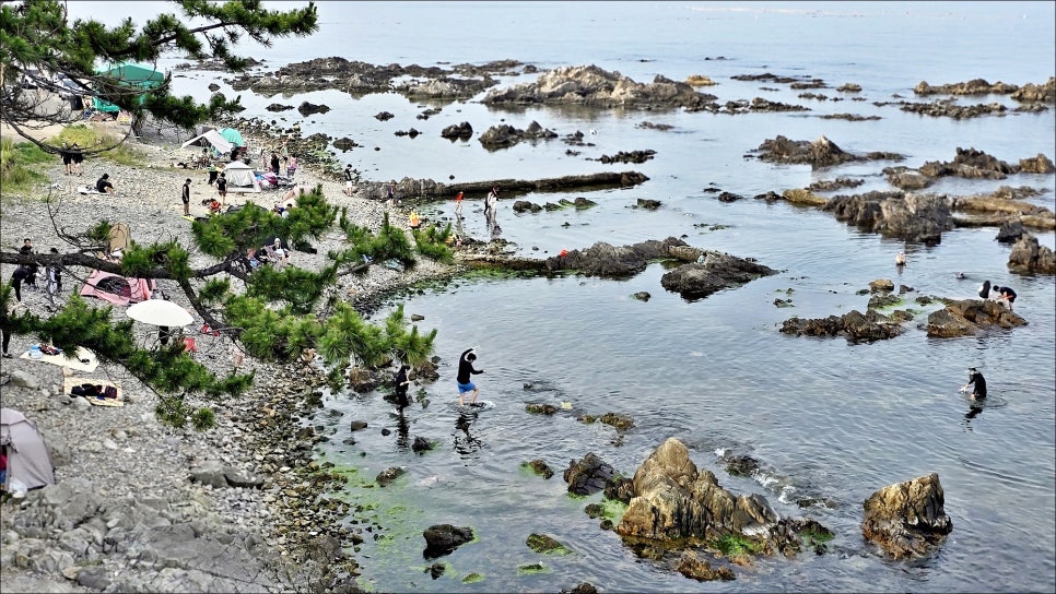 경주 여행 코스 추천 송대말등대 外 경주 가볼만한곳!