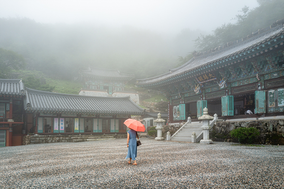 경상도 여행지 추천 경남 사찰 창원 성주사 장유사