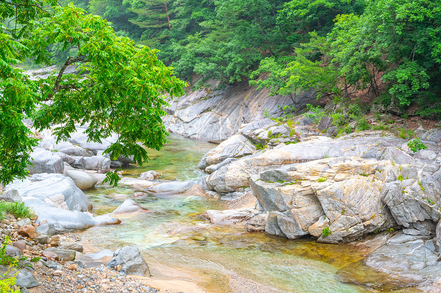 강원도 계곡 추천 인제 백담계곡 사찰 백담사 절 셔틀버스