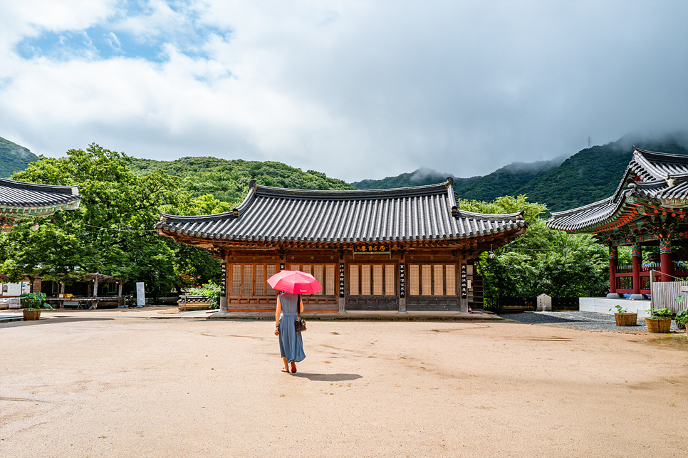 경상도 여행지 추천 경남 사찰 창원 성주사 장유사