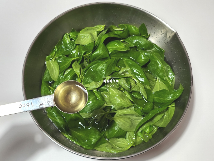 바질페스토 만들기 잣 바질잎 요리