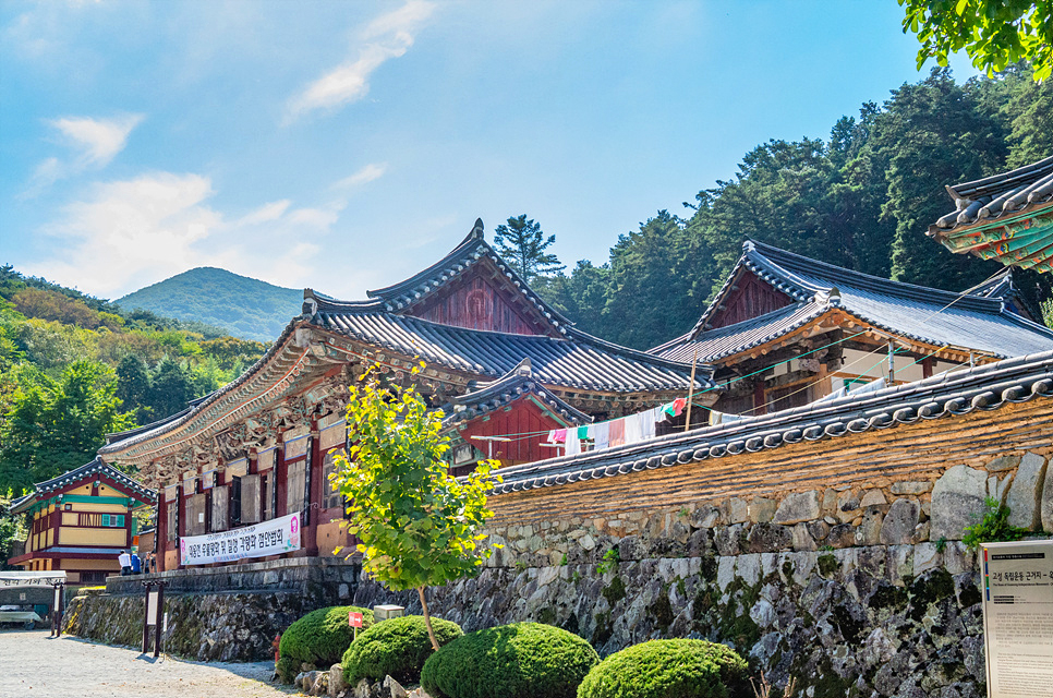 경상도 여행지 추천 경남 사찰 창원 성주사 장유사