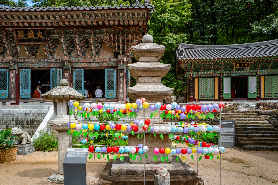 경상도 여행지 추천 경남 사찰 창원 성주사 장유사