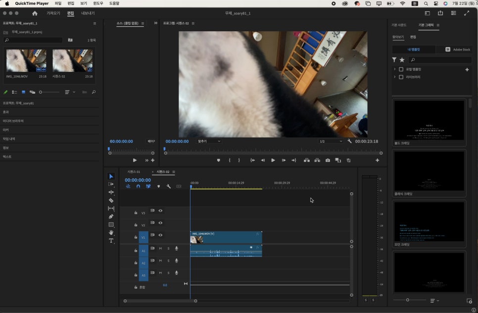 동영상 편집 프로그램 프리미어 프로 GIF 변환 기능으로 무료 움짤 만들기