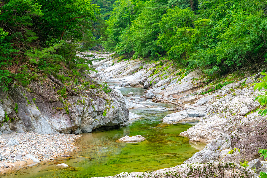 강원도 계곡 추천 인제 백담계곡 사찰 백담사 절 셔틀버스