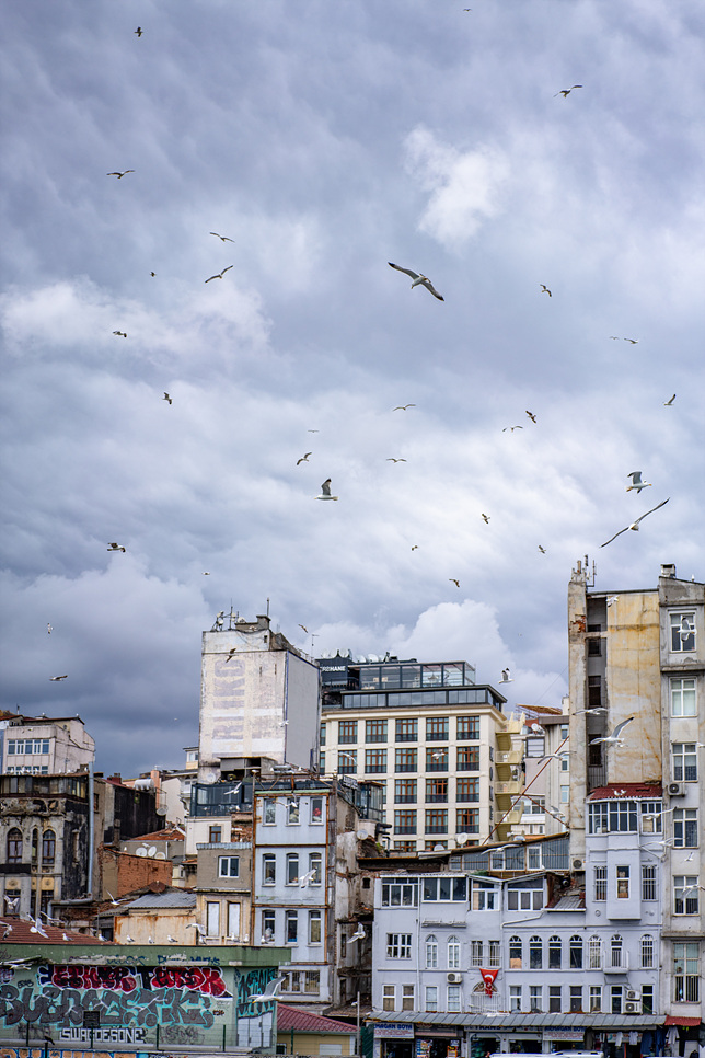 튀르키예 여행 이스탄불 갈라타 다리에서 본 탁심 풍경
