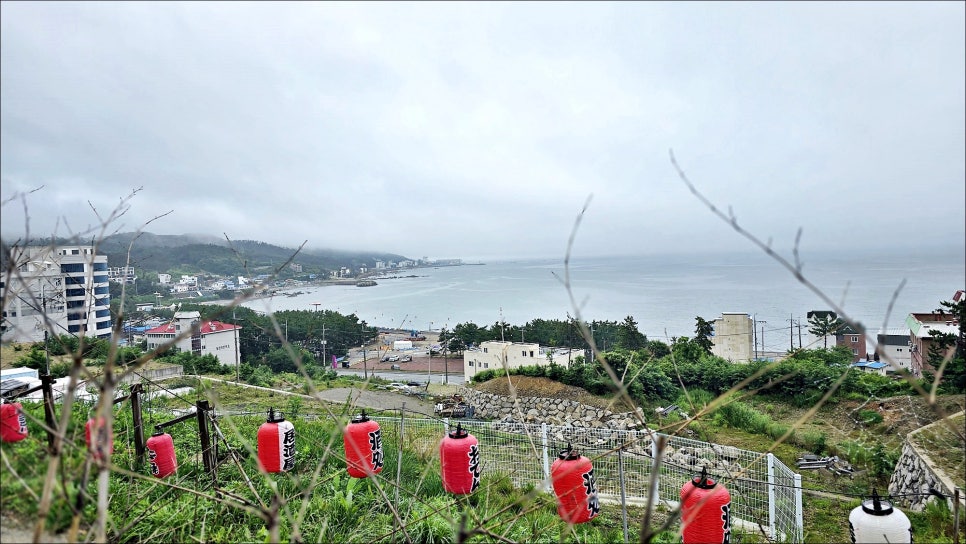 경주 숙소 추천 감성숙소 당근료칸풀빌라 경주 풀빌라 펜션!