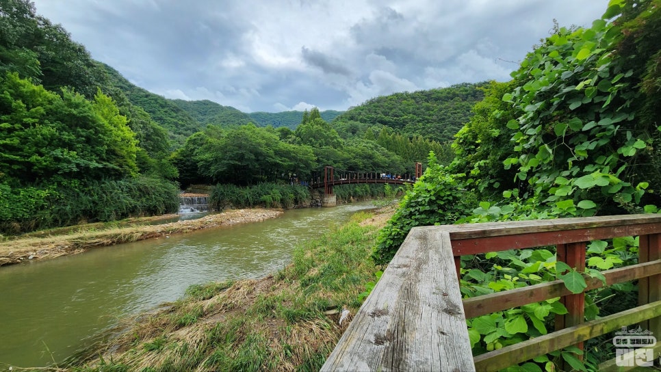 계곡과 수영장이 있는 여름 캠핑장 상소동 오토캠핑장