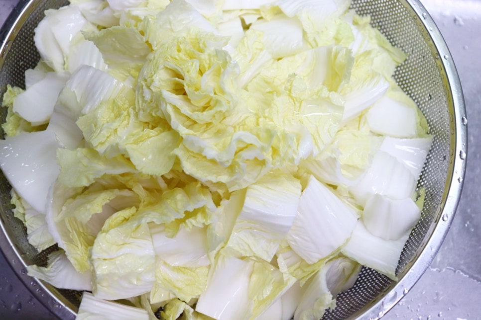알배추겉절이 양념 만드는법 여름 배추김치 담그는법