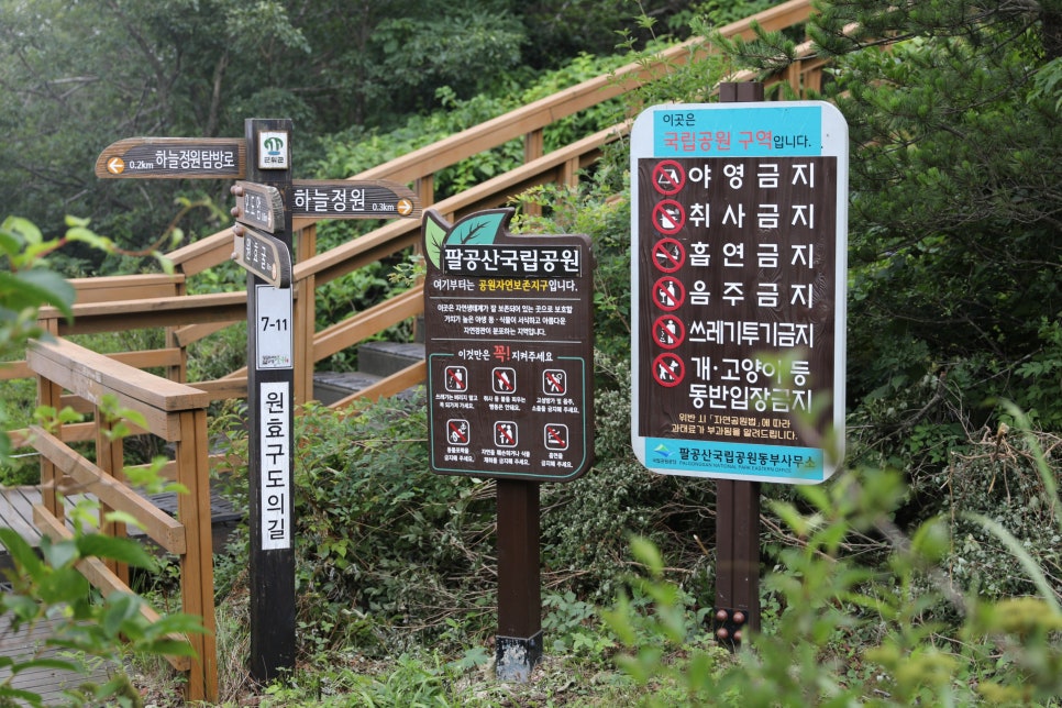 [팔공산국립공원] 데크 길로 10분만 올라가면 펼쳐지는 팔공산 하늘정원