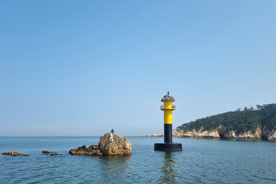 울산 동구 여행, 물놀이부터 야경까지 다채롭게 즐기는 여름휴가 여행 코스