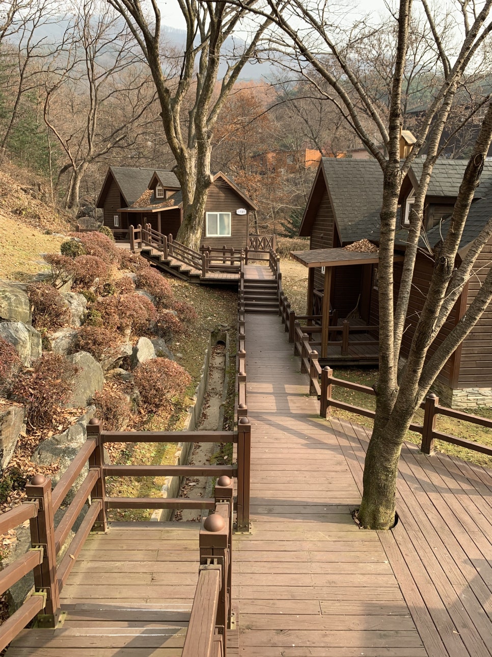 용인 자연휴양림 - 숲속에서의 멋진 하루를 즐겨요