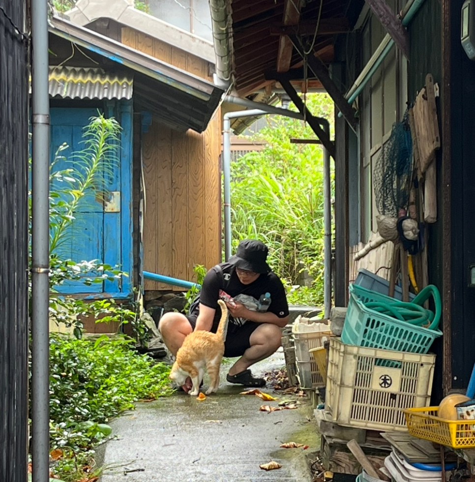 마쓰야마(에히메) 여행 : 고양이섬<아오시마> 가는 방법 최신판 (2024)