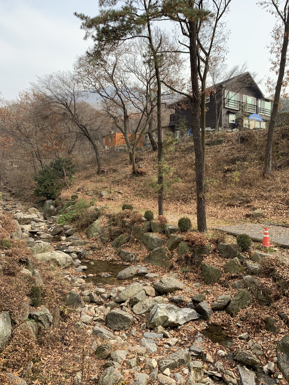 용인 자연휴양림 - 숲속에서의 멋진 하루를 즐겨요