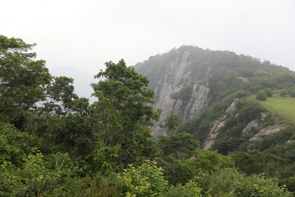 [팔공산국립공원] 데크 길로 10분만 올라가면 펼쳐지는 팔공산 하늘정원