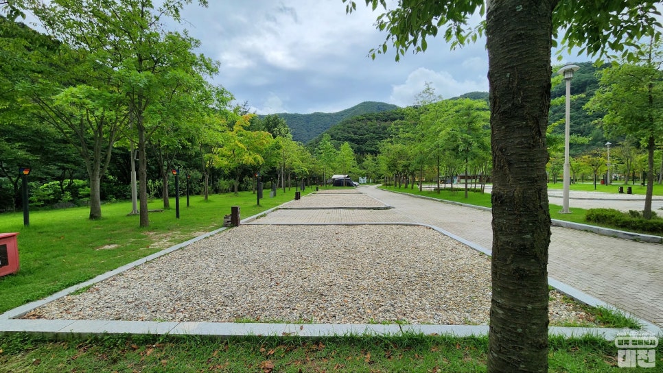 계곡과 수영장이 있는 여름 캠핑장 상소동 오토캠핑장