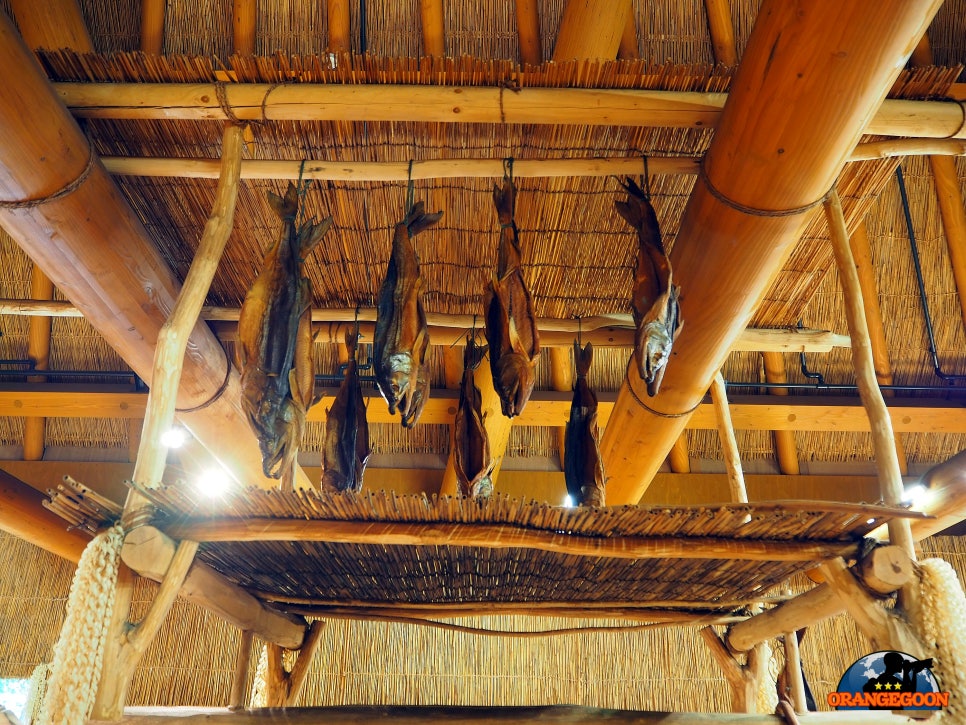 (일본 홋카이도 시라오이 / 국립 아이누 박물관 & 공원) 홋카이도의 원주민 아이누족의 이야기 속으로. 국립 아이누 박물관 여행