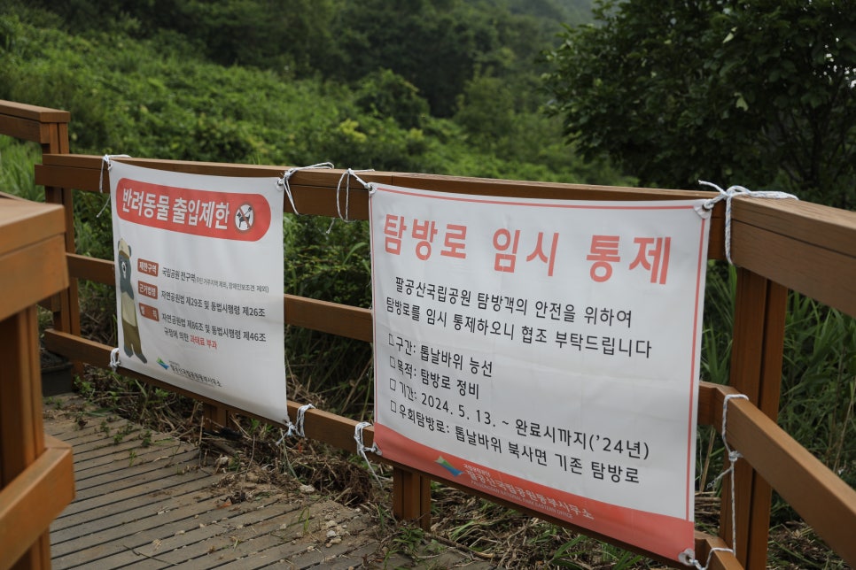 [팔공산국립공원] 데크 길로 10분만 올라가면 펼쳐지는 팔공산 하늘정원