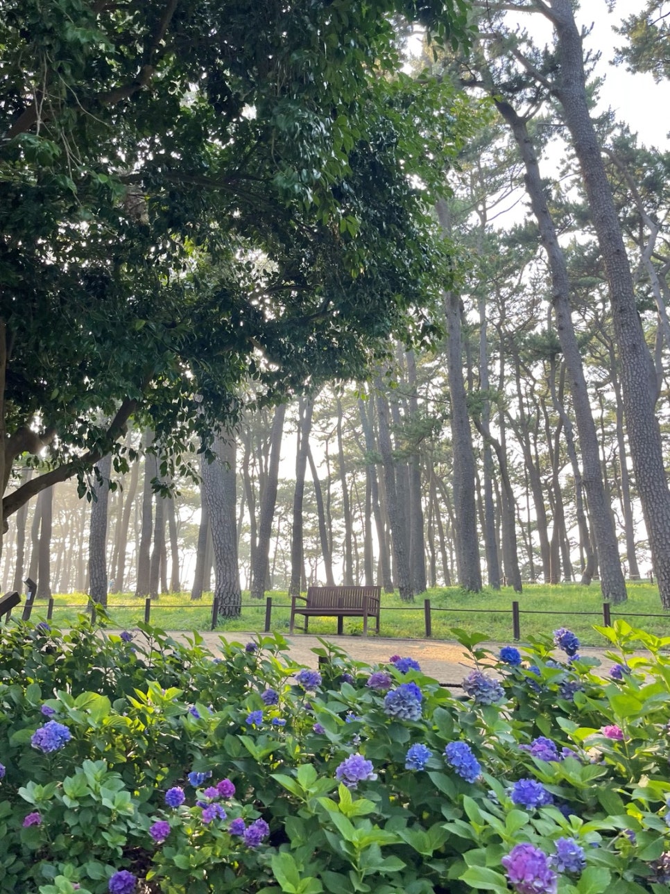 울산 동구 여행, 물놀이부터 야경까지 다채롭게 즐기는 여름휴가 여행 코스