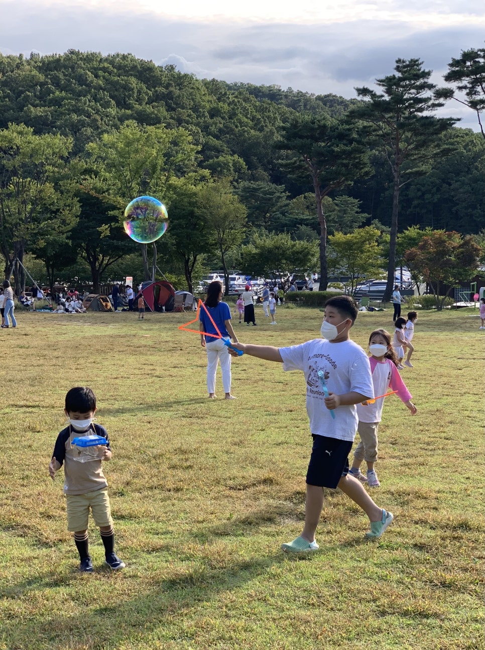 용인 자연휴양림 - 숲속에서의 멋진 하루를 즐겨요