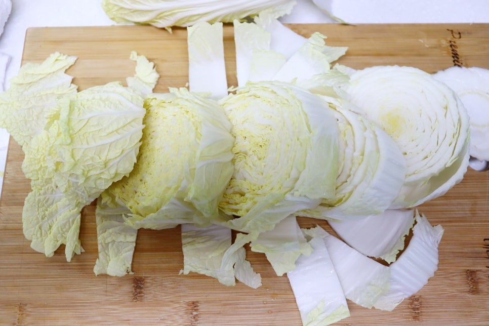알배추겉절이 양념 만드는법 여름 배추김치 담그는법