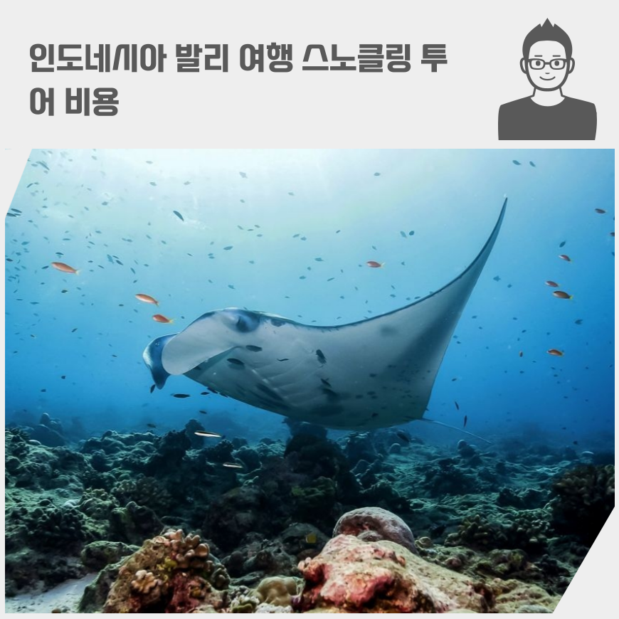 인도네시아 발리 여행 스노클링 투어 비용