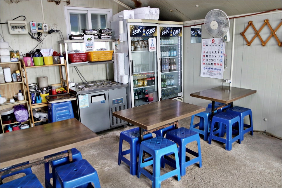 속초 포장마차거리 꽃새우 홍게 라면 맛집 아지트 술집