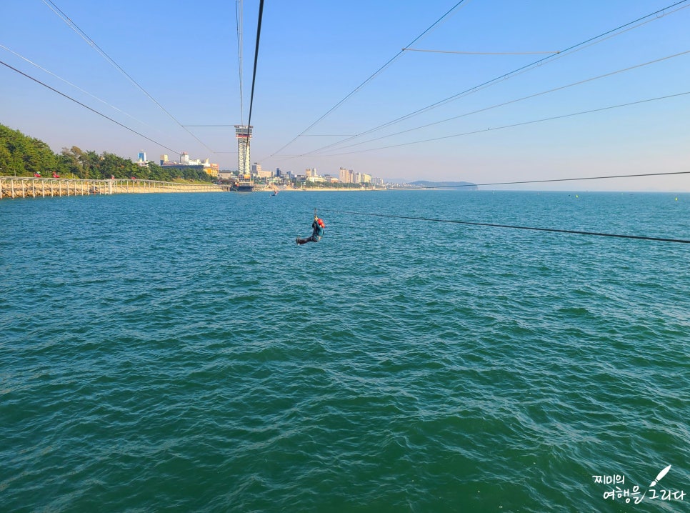 충남 보령 가볼만한곳 대천 해수욕장 스카이바이크 짚라인