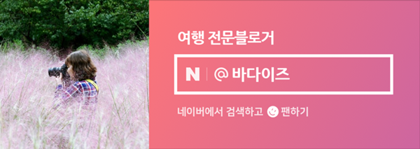 고양이 발톱 깎기 어렵지 않아요 ^^