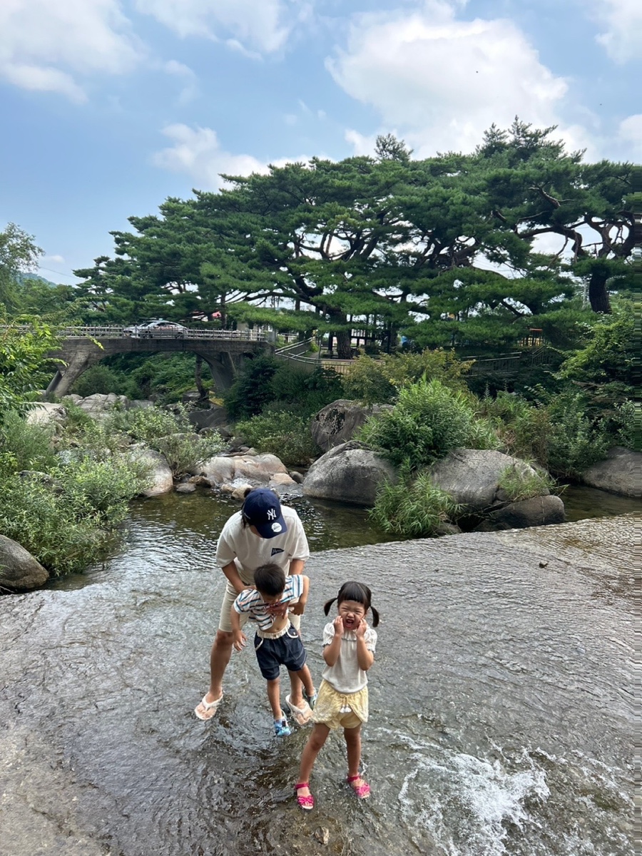 무지개 색깔 꿈