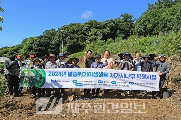 멸종위기 야생식물 II급 '개가시나무' 대체자생지 식재, 복원