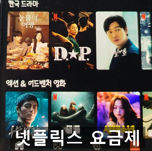넷플릭스 요금제 계정공유금지 할인방법