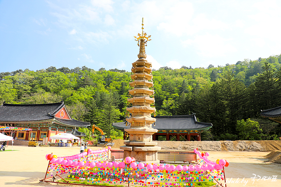 강원도 평창 가볼만한곳 여름 오대산 월정사 외 먹거리