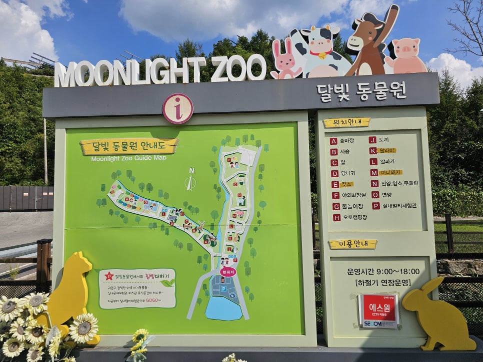 동물원이 있는 강원도 수영장 캠핑장 추천 영월 펫힐링 달빛동물원&오토캠핑장