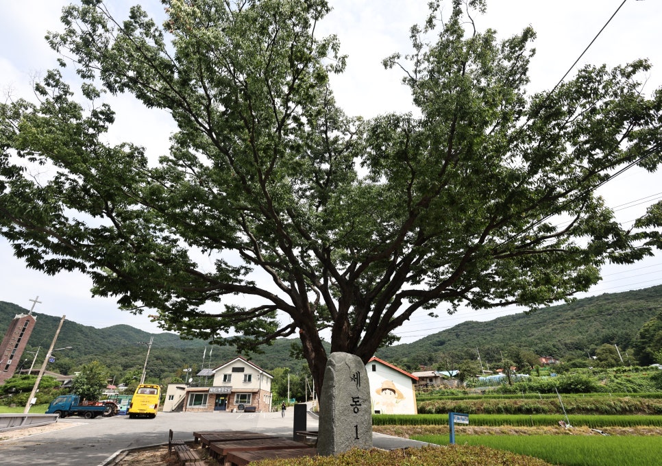 광복 79주년 기념, 대전의 해방기념비를 찾아서