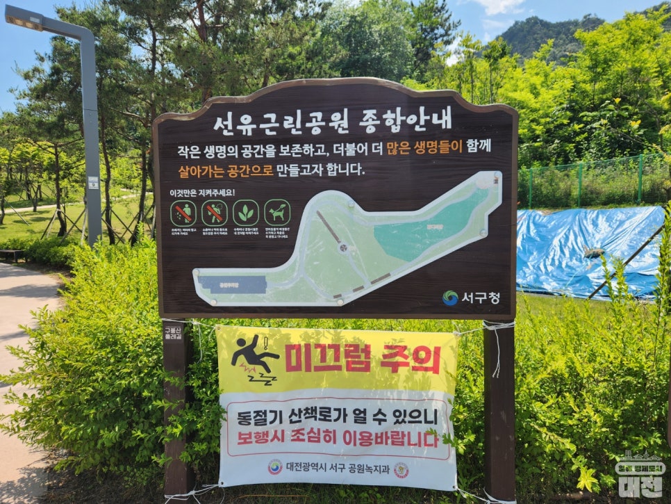 초보자도 걷기 편안한 구봉산 둘레길을 소개합니다