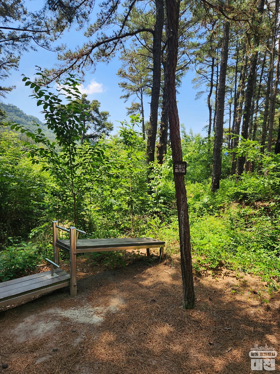 초보자도 걷기 편안한 구봉산 둘레길을 소개합니다