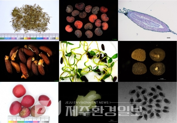 종자은행, 우리 자생식물 종자 희귀식물 75.3%, 특산식물 55% 보관