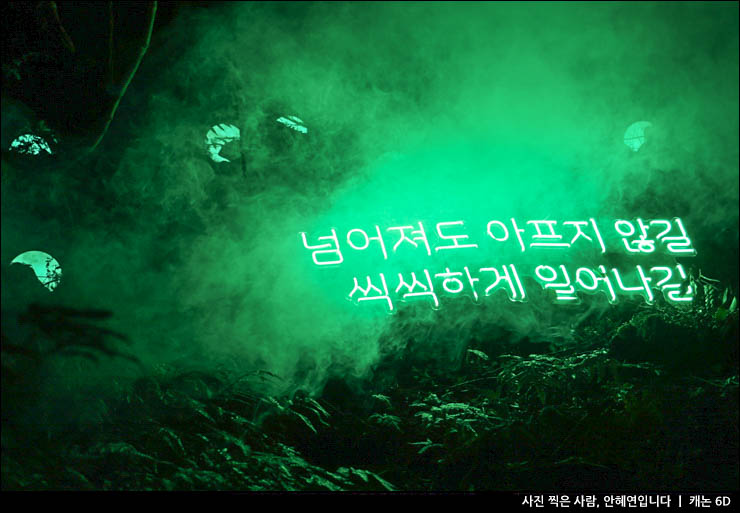 9월 제주도 가볼만한곳 제주도 서귀포 여행 코스 추천 관광지