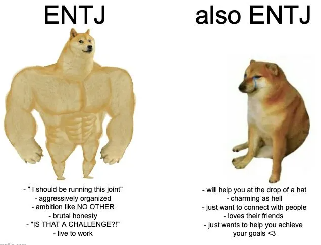 ENTJ 특징 남자 여자 궁합 연예인 연애 팩폭 이상형 상상력이 풍부한 통솔자