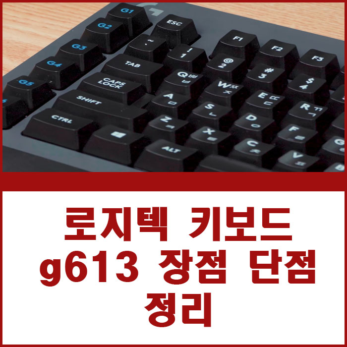 로지텍 키보드 g613 장점 단점 정리