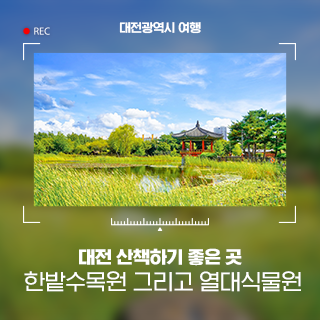 대전 산책하기 좋은 곳, 한밭수목원 그리고 열대식물원과 다육식물원