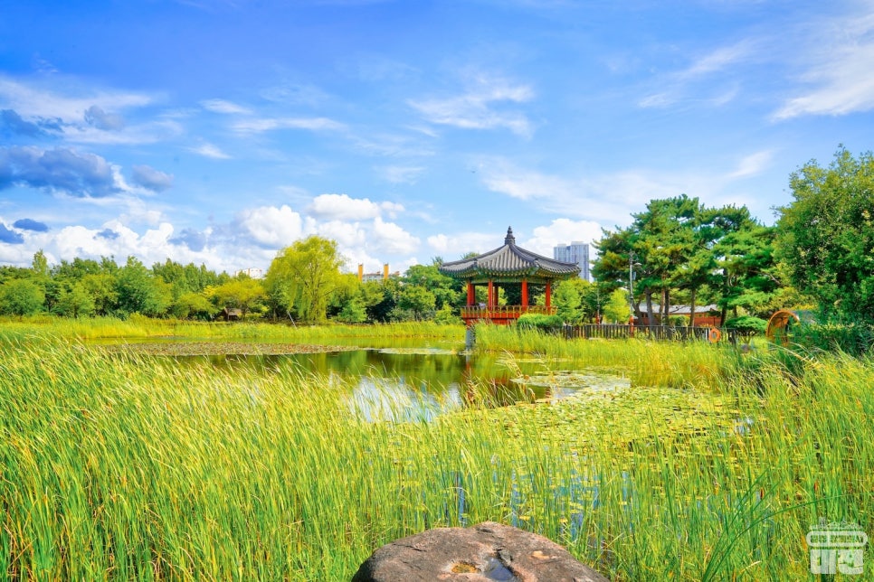 대전 산책하기 좋은 곳, 한밭수목원 그리고 열대식물원과 다육식물원