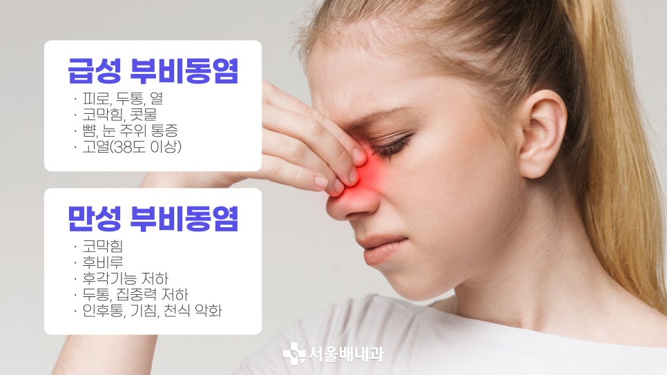 부비동염 증상,진단과 치료는? 비염과 차이점