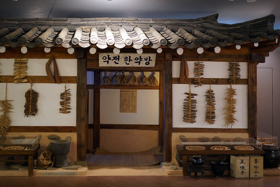서울 나들이 전시 볼거리 서울 한방진흥센터 이색체험