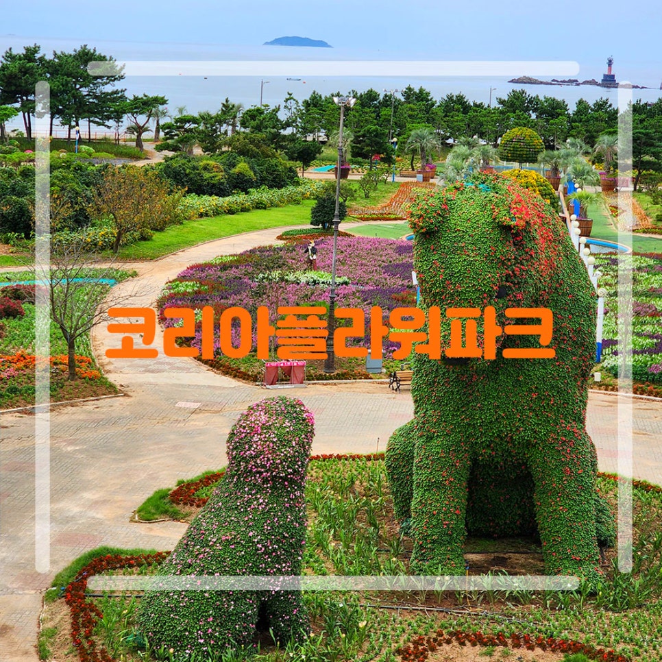 태안 코리아플라워파크 가을꽃박람회 기본정보 9월 국내 여행지 축제 추천
