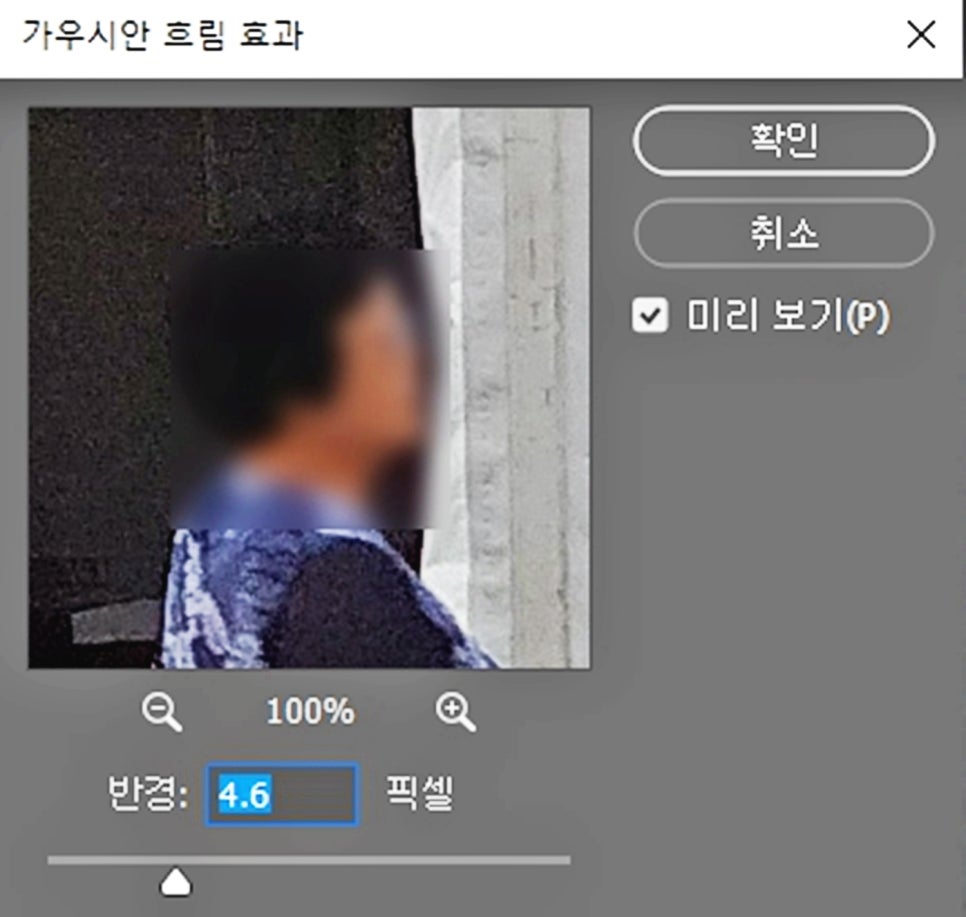 포토 사진 모자이크하고 제거하기